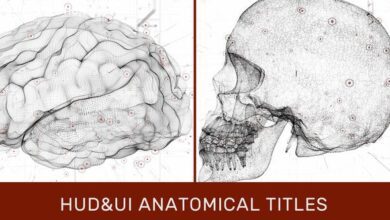 ألقاب تشريحية Videohive - HUD UI Anatomical Titles - 33042984