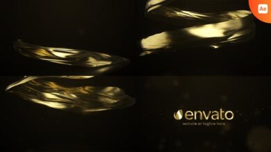 Videohive - Gold Premium Logo Reveal 33576278