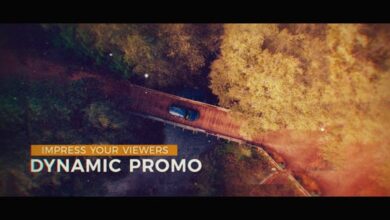 Videohive - Dynamic Promo - 19740415