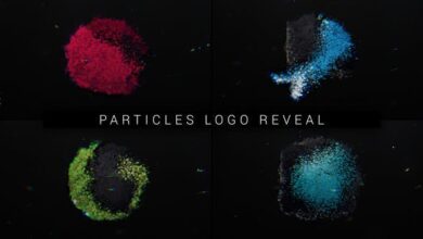 Videohive - Particles Logo Reveal - 25862561 - Project for After Effects