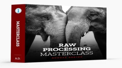 الكورس كامل August Dering RAW Processing Masterclass