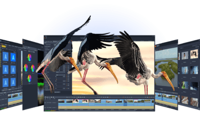 Pinnacle Studio Ultimate v25.0.2.276 64 Bit + Content Pack مع كامل الاضافات