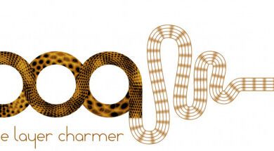 جديد سكربت Aescripts BAO Boa v1.4.8 Win/Mac