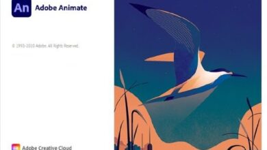 اصدار جديد Adobe Animate 2021 v21.0.8.42666 (x64) Multilingual كامل