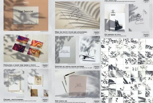 حزمة الموشن جرافيك BusyBoxx – V56 Radiant Halo كاملة