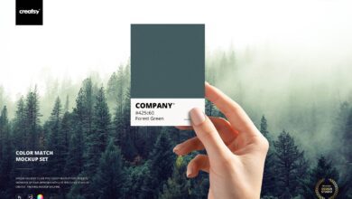 CreativeMarket - Color Match Mockup Set 6343287 موك اب تطابق اللون