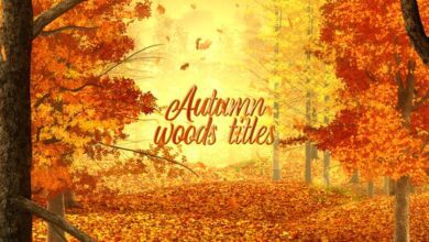 Videohive - Autumn Woods Titles - 33925235