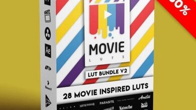الحزمة كاملة Gumroad - Movie LUTs Bundle V2 متوافقة مع كل برامج التصميم
