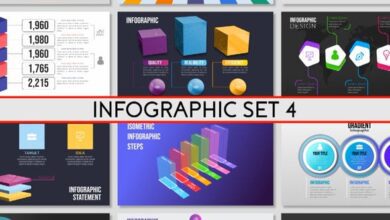 Videohive - Infographics Set 4 24088059