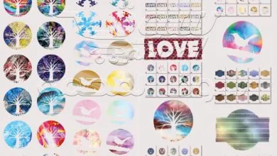 120 فيكتور وانماط