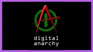 Digital Anarchy Bundle 2021.8 (x64)