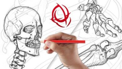 Anatomy Art School: Complete Skeleton Drawing Course مدرسة فنون التشريح: دورة كاملة لرسم الهيكل العظمي