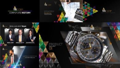 Videohive - 3D Triangle Concept Corporate Profile 21482481