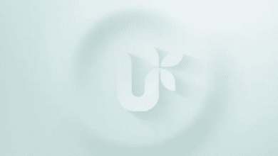 Videohive - Light & Clean Logo Reveal - 29241898