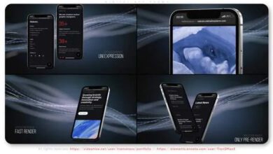 Videohive - Digital App Promo - 34043400 - Project for After Effects