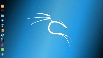 اسطوانة الاختراق الشهيرة اصدار جديد Kali Linux 2021.4