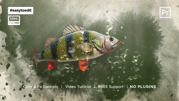 Videohive - Fish Logo Reveal Template - 34195788