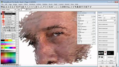 Pixarra TwistedBrush Pro Studio v25.03