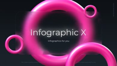 Videohive Infographic X 34223441