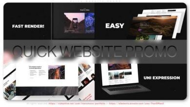 Videohive - Quick Website Promo 34422560