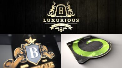 Videohive - Luxury Mockup Kit - Glossy Logo Intro 33964724