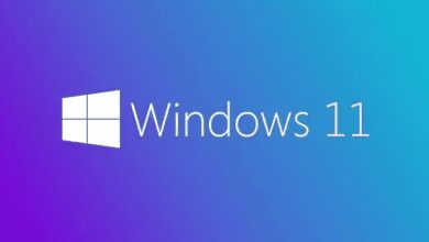 اصدار جديد لويندز 11 برو Windows 11 Pro 21H2 10.0.22000.318 (x64) Multilanguage November 2021