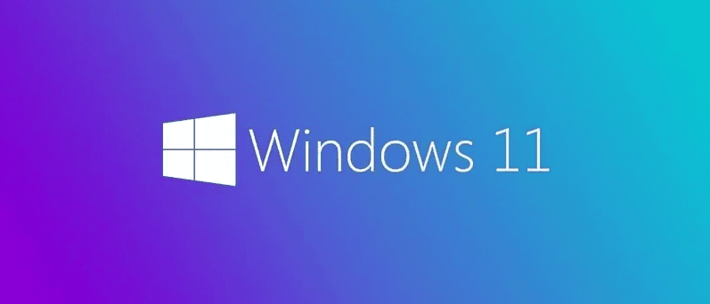اصدار جديد لويندز 11 برو Windows 11 Pro 21H2 10.0.22000.318 (x64) Multilanguage November 2021
