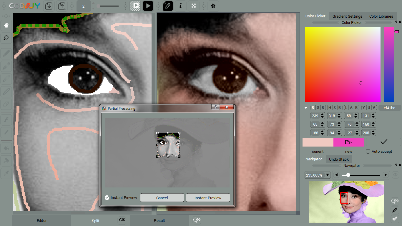 برنامج تلوين الصور الغير ملونة اصدار جديد كامل Picture Colorizer Pro 3.0.0