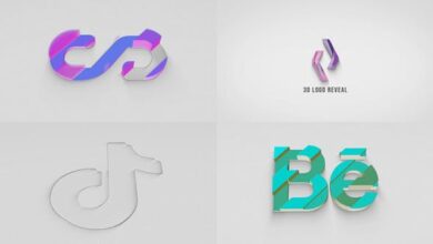 Videohive - 3D Logo Reveal 33976891