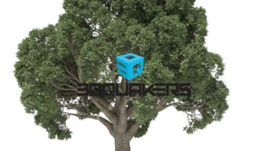 3DQUAKERS - Forester v1.5.2 for Cinema 4D