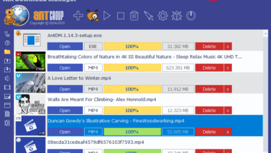 اصدار جديد Ant Download Manager Pro v2.5.2 Build 80503
