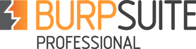 Burp Suite Professional 2021.12.1 Build 11044 Full Version Free Download