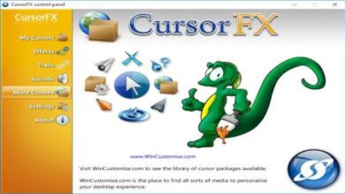 Stardock CursorFX 4.03 Multilingual