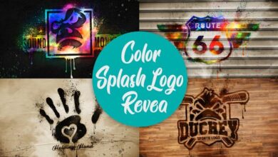 Videohive - Color Splash Logo Reveal 35637850