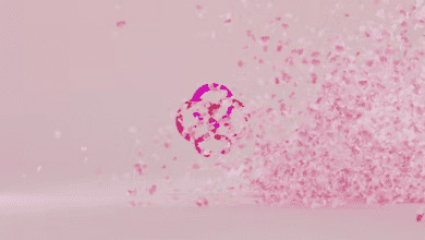 Videohive - Petals Logo Reveal - 35880237 - Project for After Effects