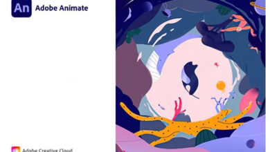 اصدار جديد+ التفعيل Adobe Animate 2022 v22.0.4.185 x64