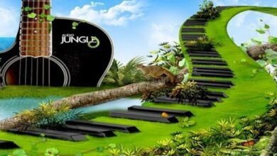 تجميعة حصرية وجديدة وغير مكررة من اوديو جنغل AudioJungle - Mega package