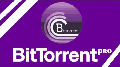 BitTorrent Pro 7.10.5.46193 Multilingual