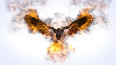 Videohive - Flaming Eagle Logo Reveal - 31914514 - Project for After Effects
