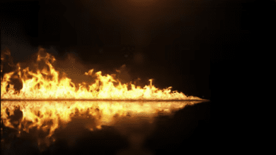 Videohive - Flaming Line Logo Reveal - 29912994 - Project for After Effects