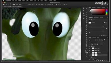 تعلم أساسيات (الفوتوشوب) Adobe Photoshop