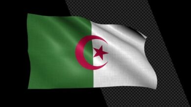 موشن جرافيك علم الجزائر (قناة الفا) Videohive - Algeria Flag - 36378555