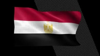 موشن جرافيك علم مصر خلفية شفافة Videohive - Egypt Flag - 36378391