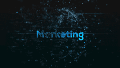 Videohive - Marketing Network Earth - 36786795 - Project for After Effects
