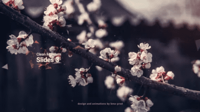 Videohive - Clean Modern Slides 3 - 36643346