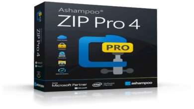 Ashampoo ZIP Pro 4.10.22 Multilingual