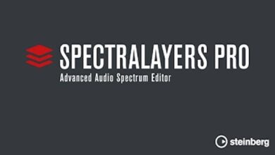 Steinberg SpectraLayers Pro v8.0.20 x64