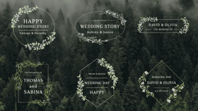 عناوين زفاج راقية  Videohive - Wedding Titles - 36434236 - Project for After Effects