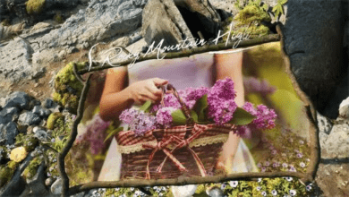 Videohive - Rocky Mountains Slideshow - 36459866 - Premiere Pro Templates