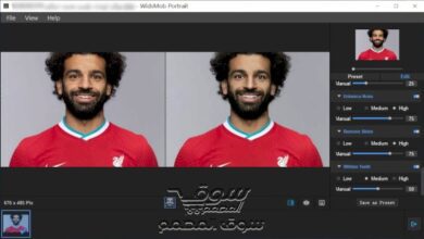 WidsMob Portrait 2.0.0.190 (x64) Multilingual